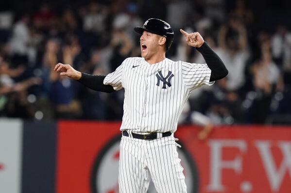 Donaldson slugs walk off slam sends Yankees past Rays 8 7 AP News